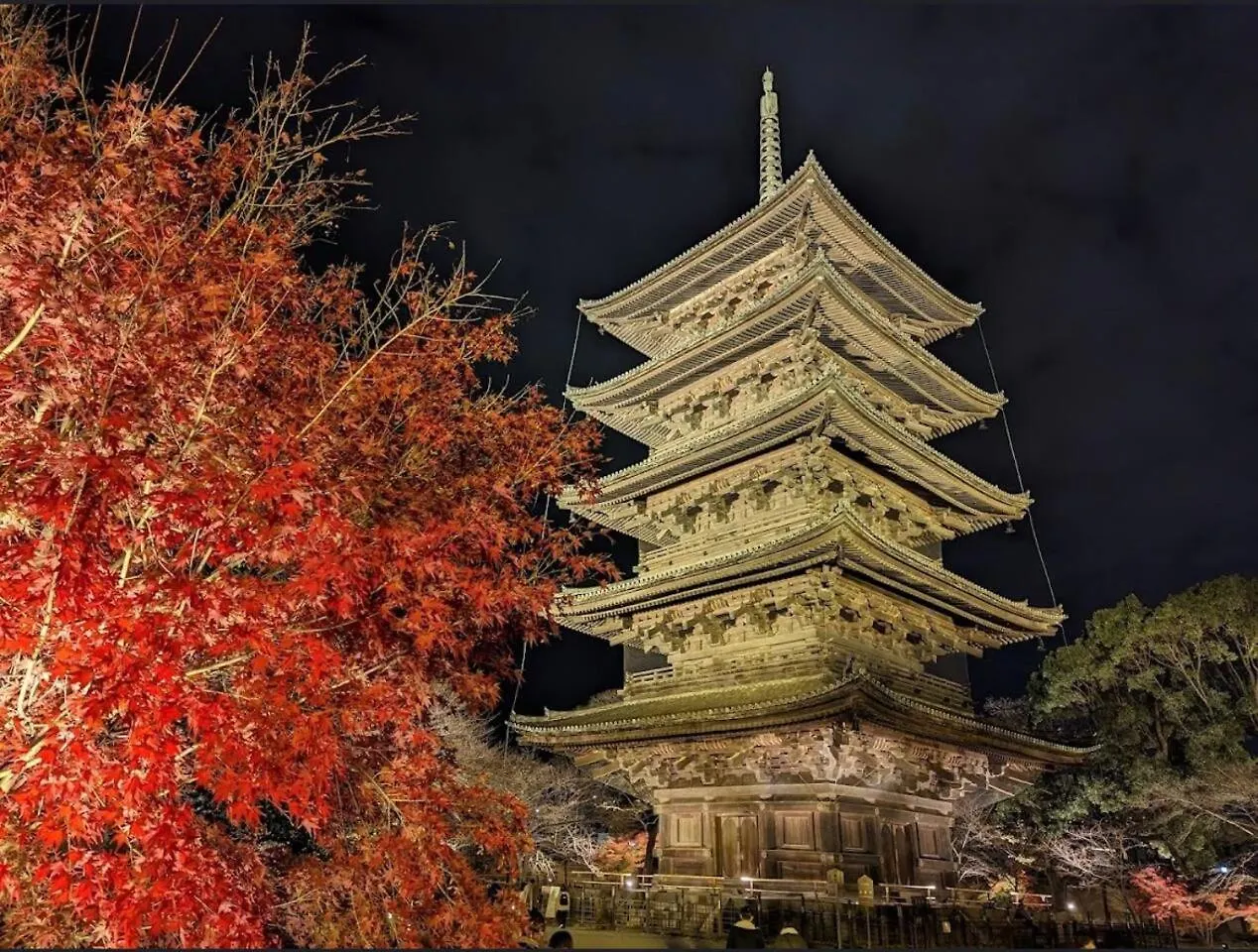 喜楽-炎林苑 Villa Kyoto
